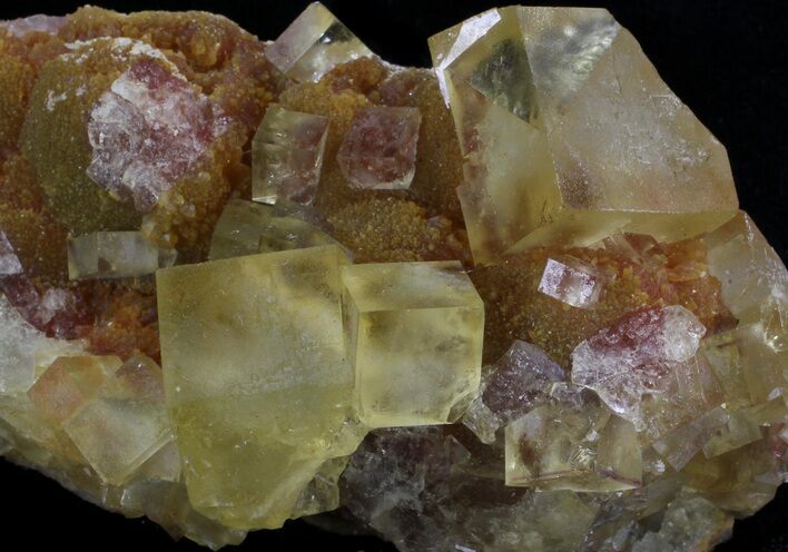 Lustrous, Yellow Cubic Fluorite Crystals - Morocco #37482